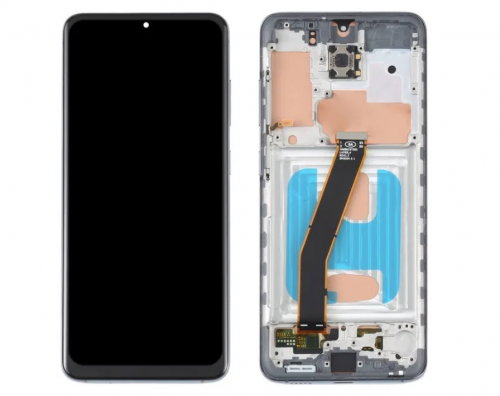 Samsung Galaxy S20 OLED Display with Frame