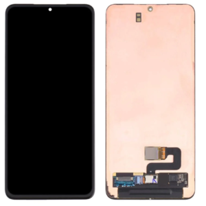 Samsung Galaxy S21 Plus OLED Display