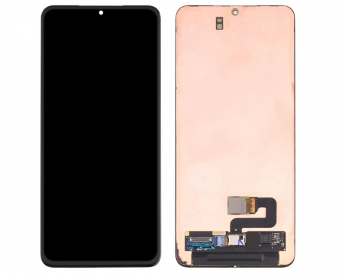 Samsung Galaxy S21 Plus OLED Display